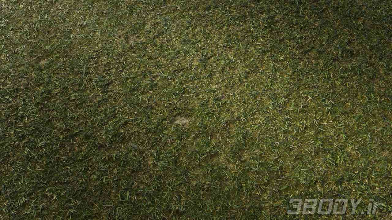 متریال چمن کوتاه شده cut grass عکس 1